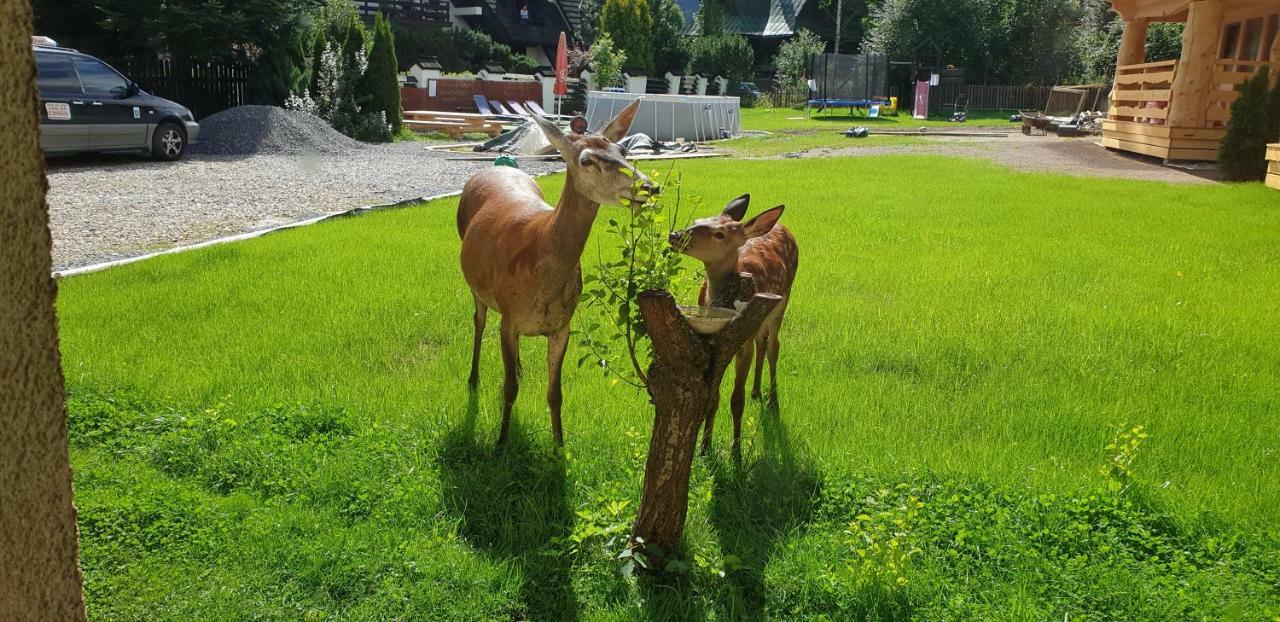 Willa Anda Zakopane Dış mekan fotoğraf